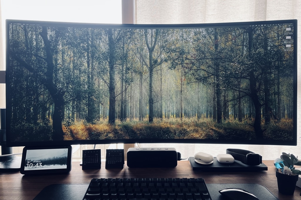 jimikotu forest Ultra wide monitor